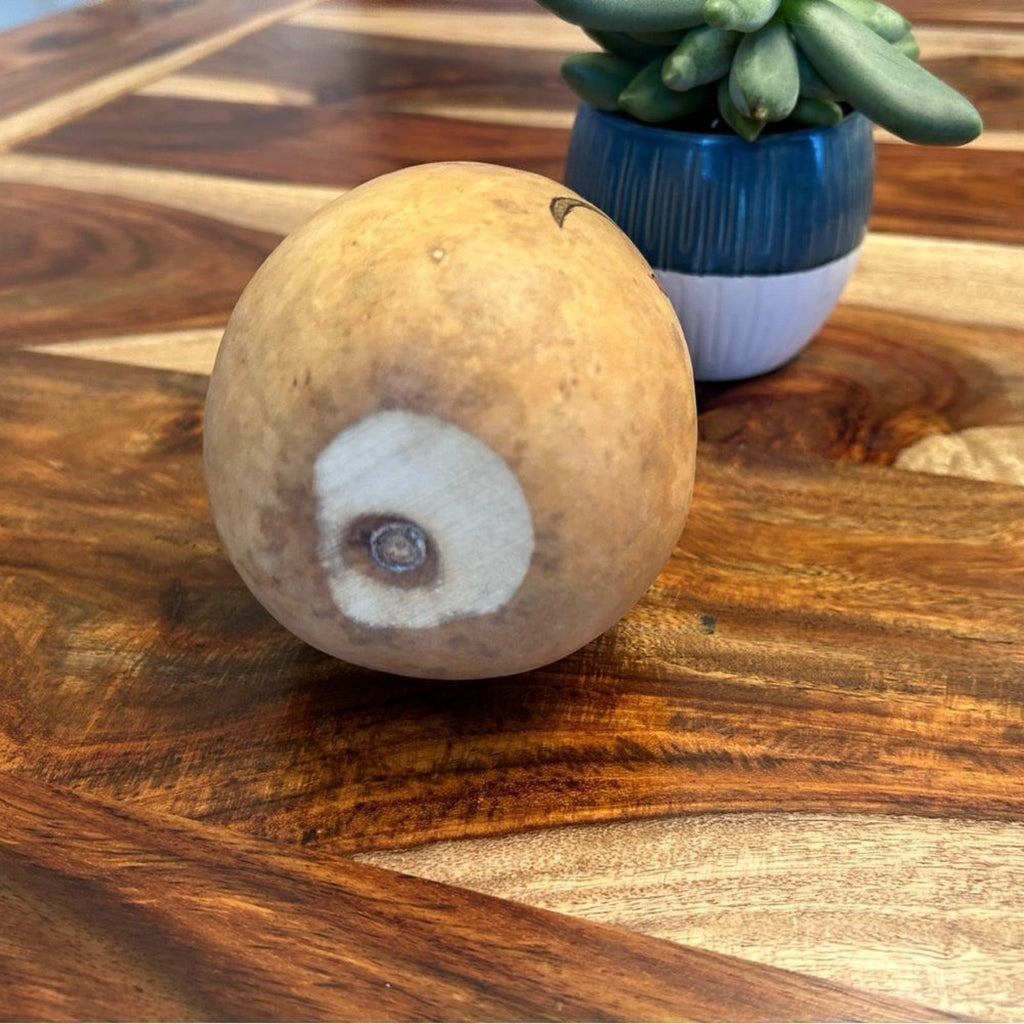 Gourd Home Decoration Custom Designed Woodburning and Painted Gourd Boho Home