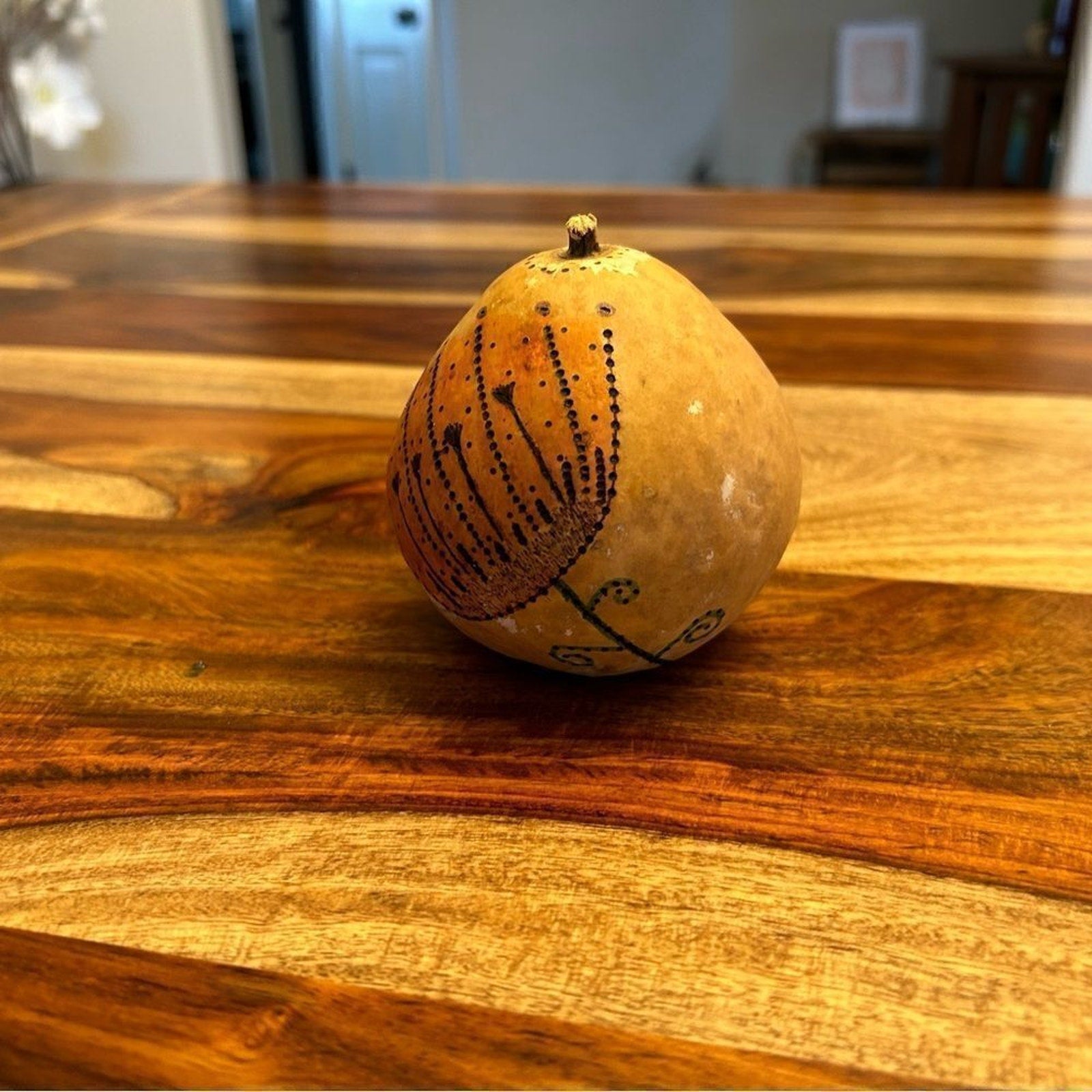 Gourd Home Decoration Custom Designed Woodburning and Painted Gourd Boho…