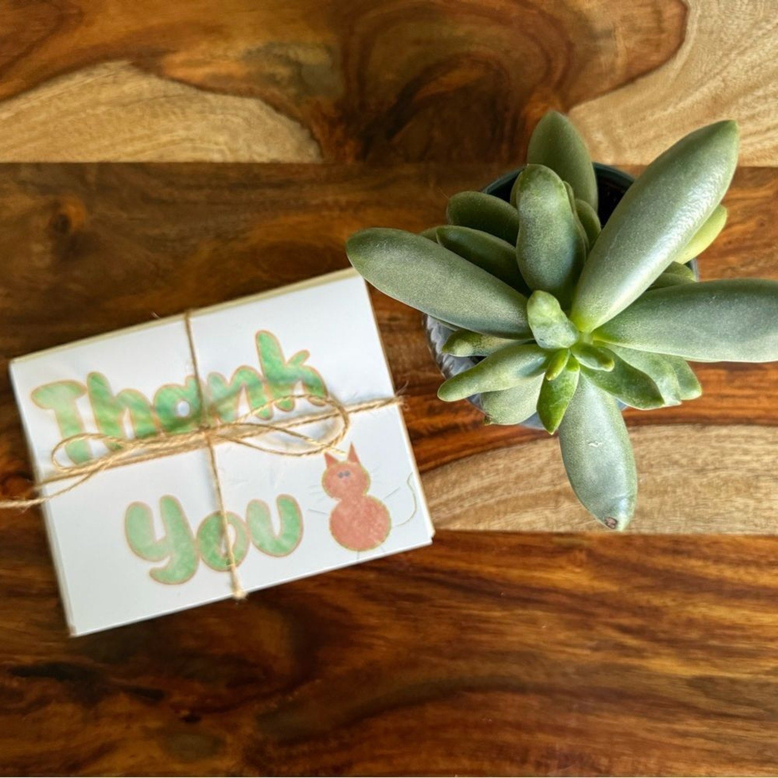 Thank You Cards Greeting Cards Blank Notes Gift for Cat Lover Friendship Cards