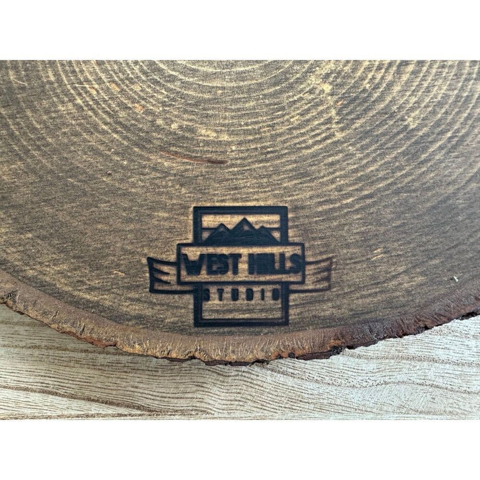 Bird Wall Art Wood Art Boho Home Decor Free Bird Blue Birds Woodburning NEW